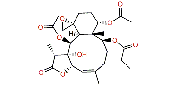 Junceellolide F